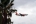 Boeing 737-73V